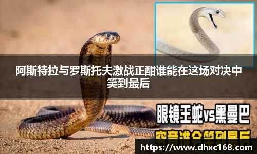 DG视讯